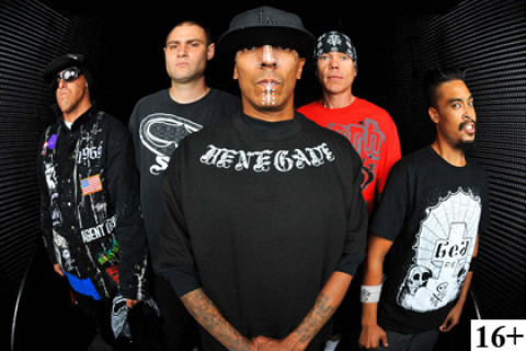 Hed PE